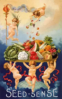 Platter: Children and Full Platter