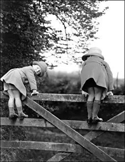 Backward: Two children play on a fence - Devon