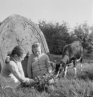 Graveyards: Children Playing In Graveyard