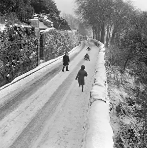 Children Playing In Snow