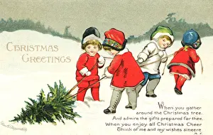 Lugging: Children pulling Christmas tree through the snow