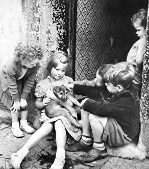 Pleated: Children with puppy, Balham, SW London