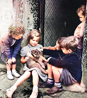 Pleated: Children with puppy, Balham, SW London