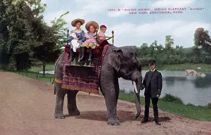 Lakeside: Children riding an Indian elephant, New York Zoological Park
