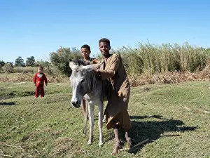 Esna: Children, River Nile, Aswan Governate, Egypt