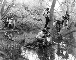 Skimming: CHILDREN STUDY PONDLIFE