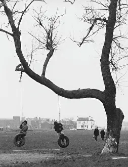 Swinging: Children swinging on ropes