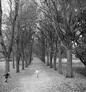 Children on a tree-lined path in a park
