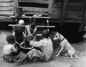 Watermelon: Children in the USA, 1908