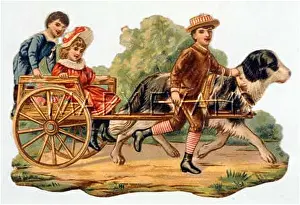 Cheerfully: CHILDRENS DOG CART