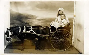 Trap: Childrens Horse & Trap