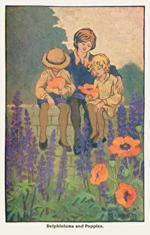 Delphiniums: Children's pastimes