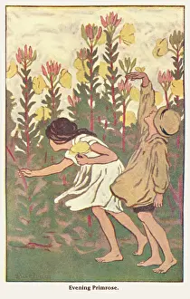 Barham: Children's pastimes