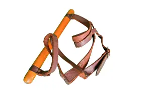Restraint: Child's reins