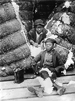 Picker: Child's work: Cotton picker