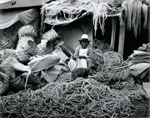 Roped: Chile - Ecuador - Galapagos Island - Peru