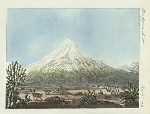 Agave: Chimborazo viewed from the Tapia plateau