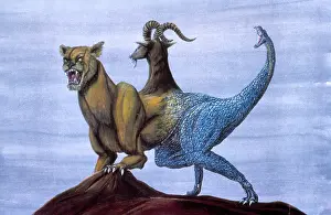 Chimera: Chimera