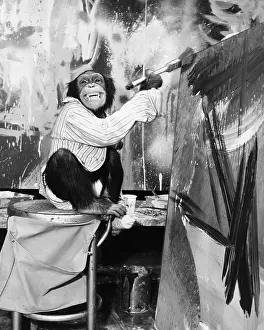 Witty: Chimpanzee as an artist
