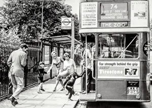 Boarding: Chimpanzee boarding London bus