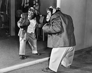 Witty: Chimpanzee in a jacket and trousers in front of a mirror