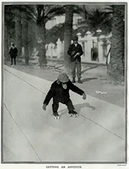 Rollerskating: Chimpanzee roller skating in Cannes