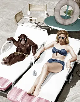 Tanning: Chimpanzee and a woman sunbathing