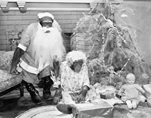 Rarity: Chimpanzees celebrating Christmas