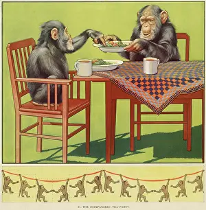 Chimpanzees: CHIMPS TEA PARTY - 1
