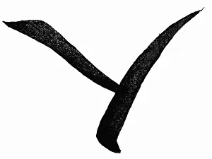 Cursive: China, characters, human (ren)