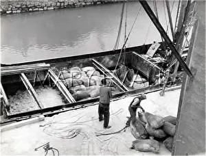 CHINA CLAY LOADING 1950S