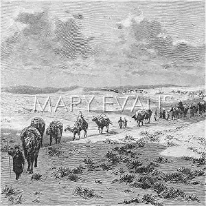 Gobi: CHINA/GOBI DESERT C1880