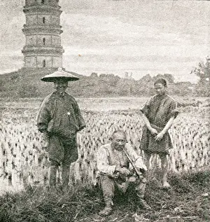 Paddies: China - Old Rice Farmers