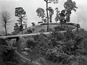 Darjeeling: Chinbatti Loop, Darjeeling Railway, India