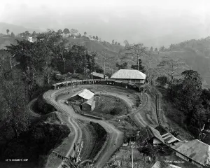 Darjeeling: Chinbatti Loop, Darjeeling Railway, India