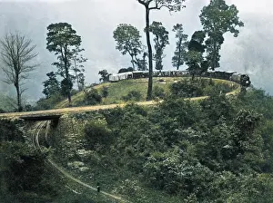 Darjeeling: Chinbatti Loop, Darjeeling Railway, India
