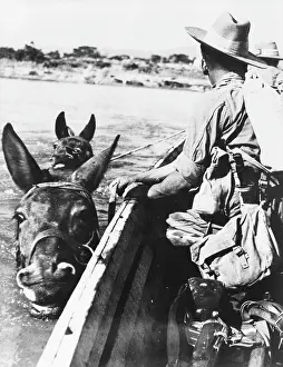 Cavalrymen: Chindits crossing the Great Chindwin River, Burma