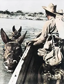 Cavalrymen: Chindits crossing the Great Chindwin River, Burma