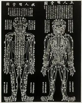 Crucial: Chinese Acupuncture chart