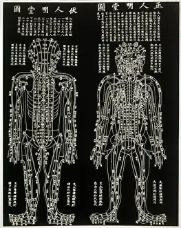 Crucial: Chinese Acupuncture chart