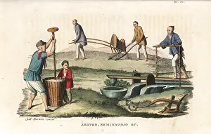Seeding: Chinese agriculture