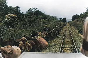 Robert Hunt Library: Chinese army in Burma