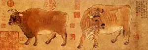 Huang: Two Chinese Buffalo
