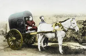 Finely: Chinese carriage