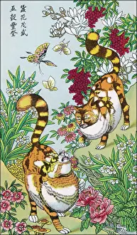 Silkworms: CHINESE CATS/SILKWORMS