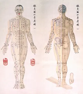 Acupuncture: Chinese chart of acupuncture points on a ?