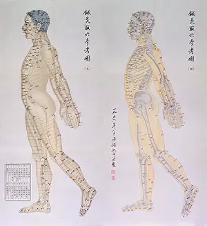 Acupuncture: Chinese chart of acupuncture points on two ?