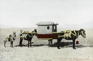 Palanquin: Chinese covered litter