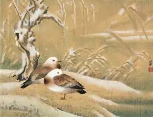Two Chinese Ducks in the Snow