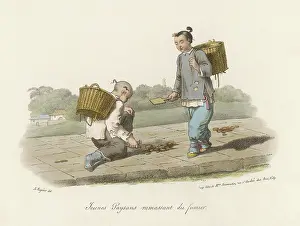 Scrape: CHINESE DUNG COLLECTORS